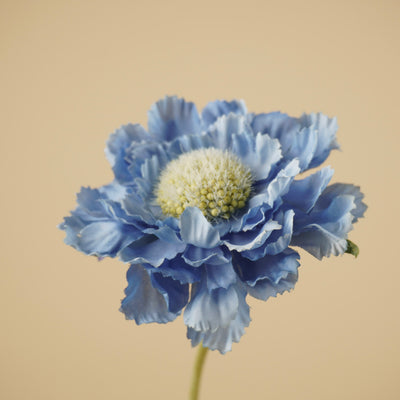 Branche de scabieuse en soie – Bleu clair (63 cm)