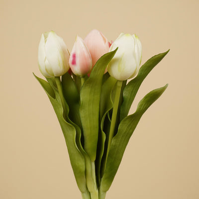 Lathyrus en soie – Crème (75 cm)