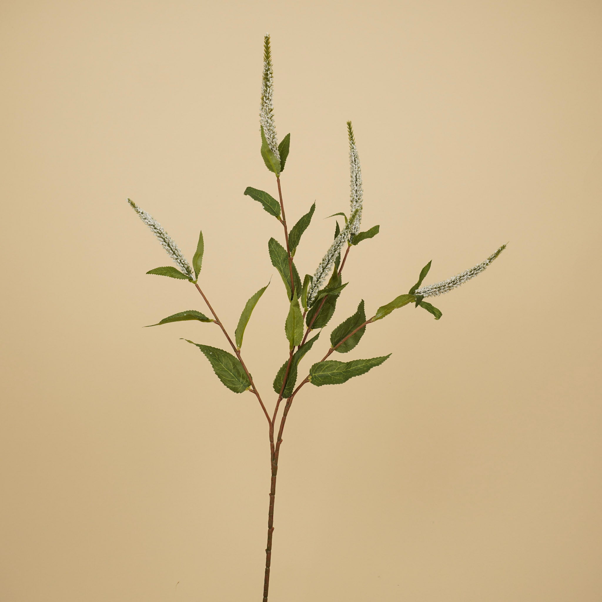Branche de Véronique en soie – Blanche (72 cm)