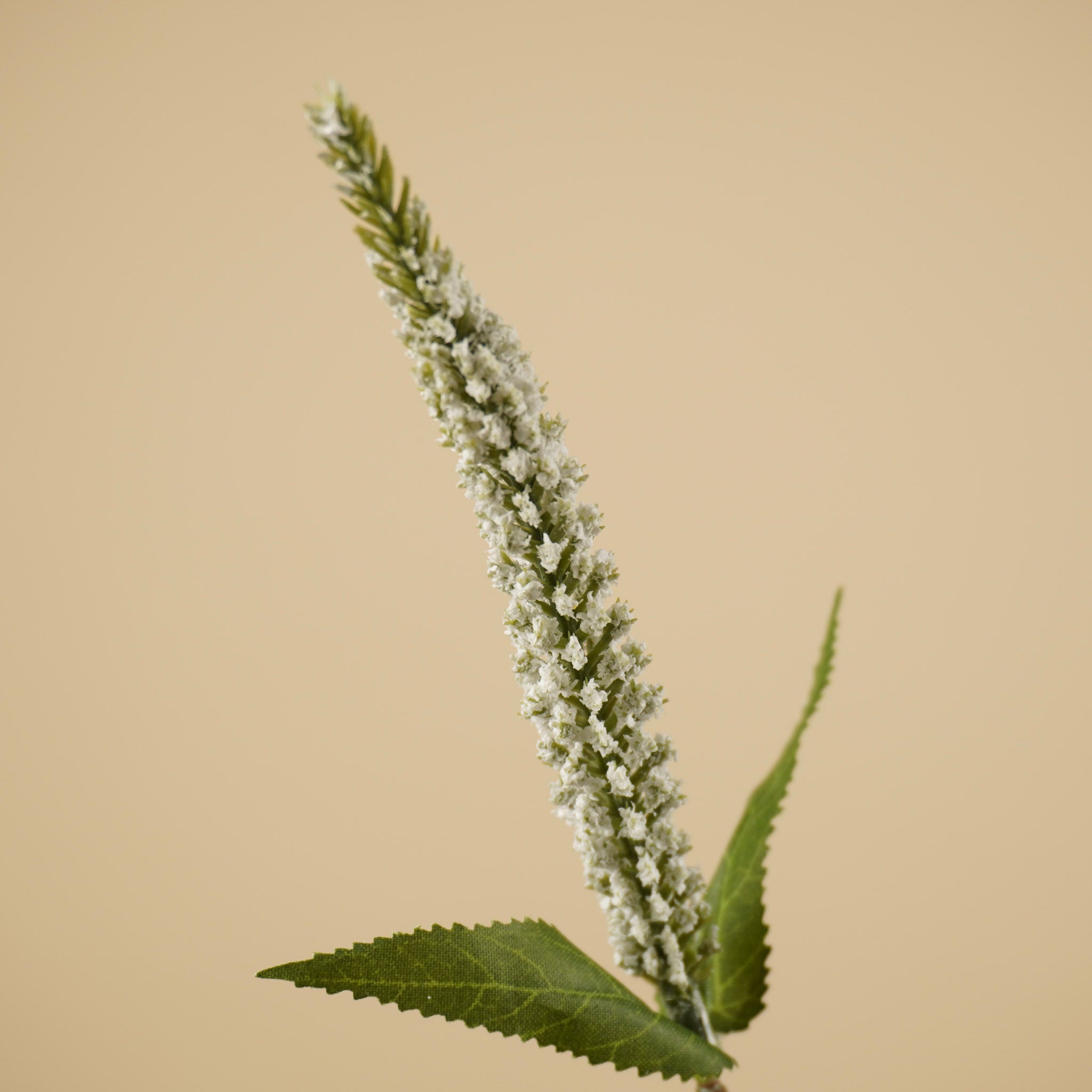 Branche de Véronique en soie – Blanche (72 cm)
