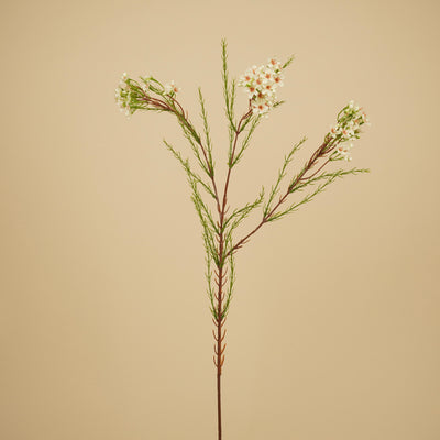 Fleur de cire en soie – Ivoire (78 cm)